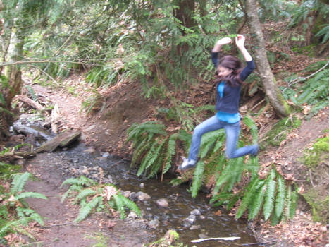 Jumping the Ravine