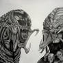 Predalien vs Predator