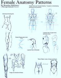 Female Anatomy Patterns