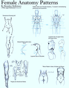 Female Anatomy Patterns