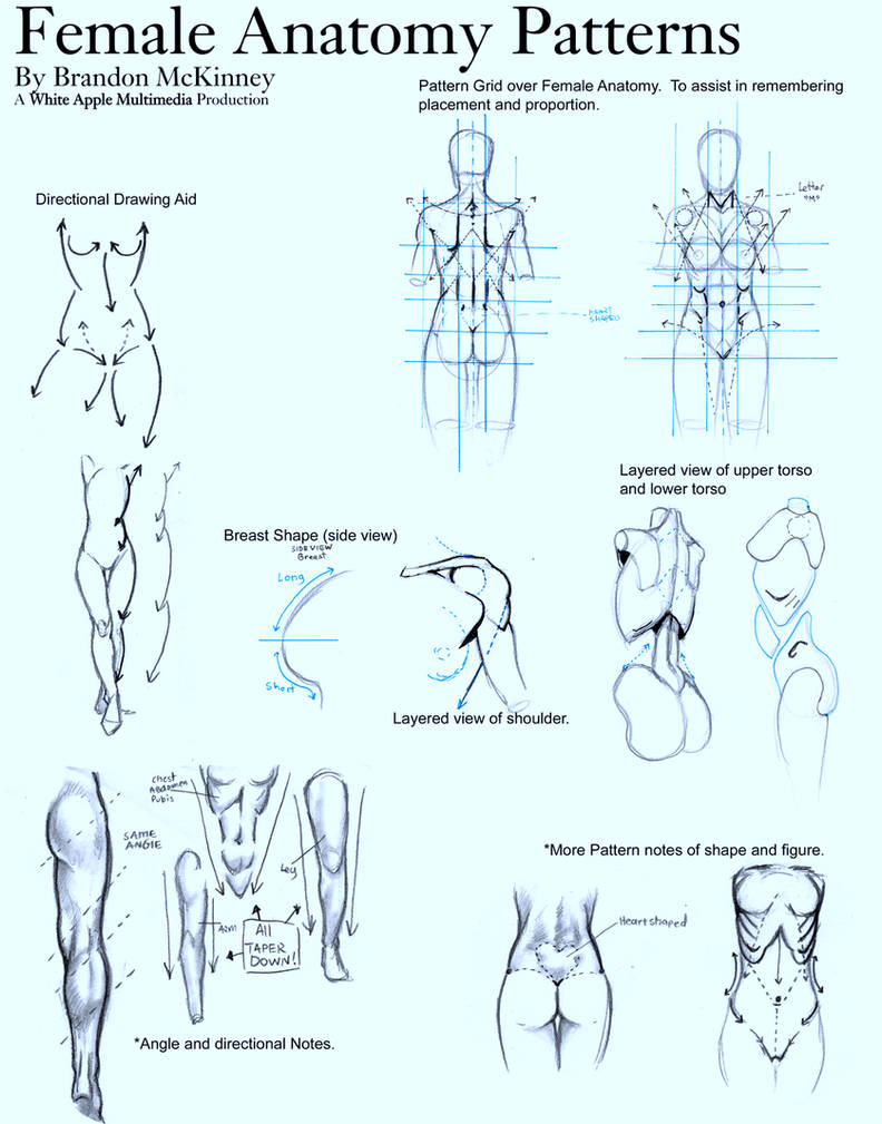 Female Anatomy Patterns by Snigom
