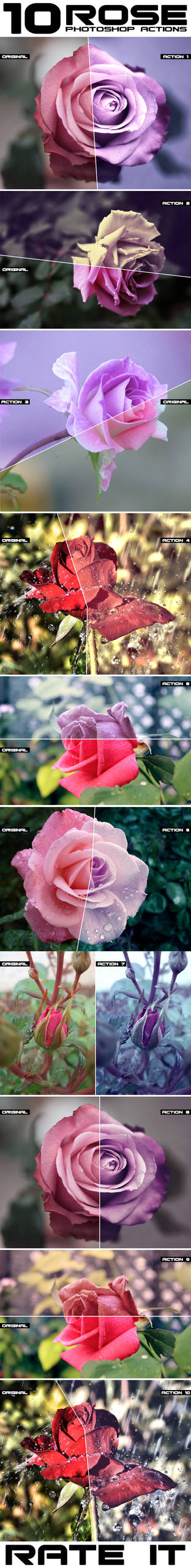 Rose Flower Photoshop Actions