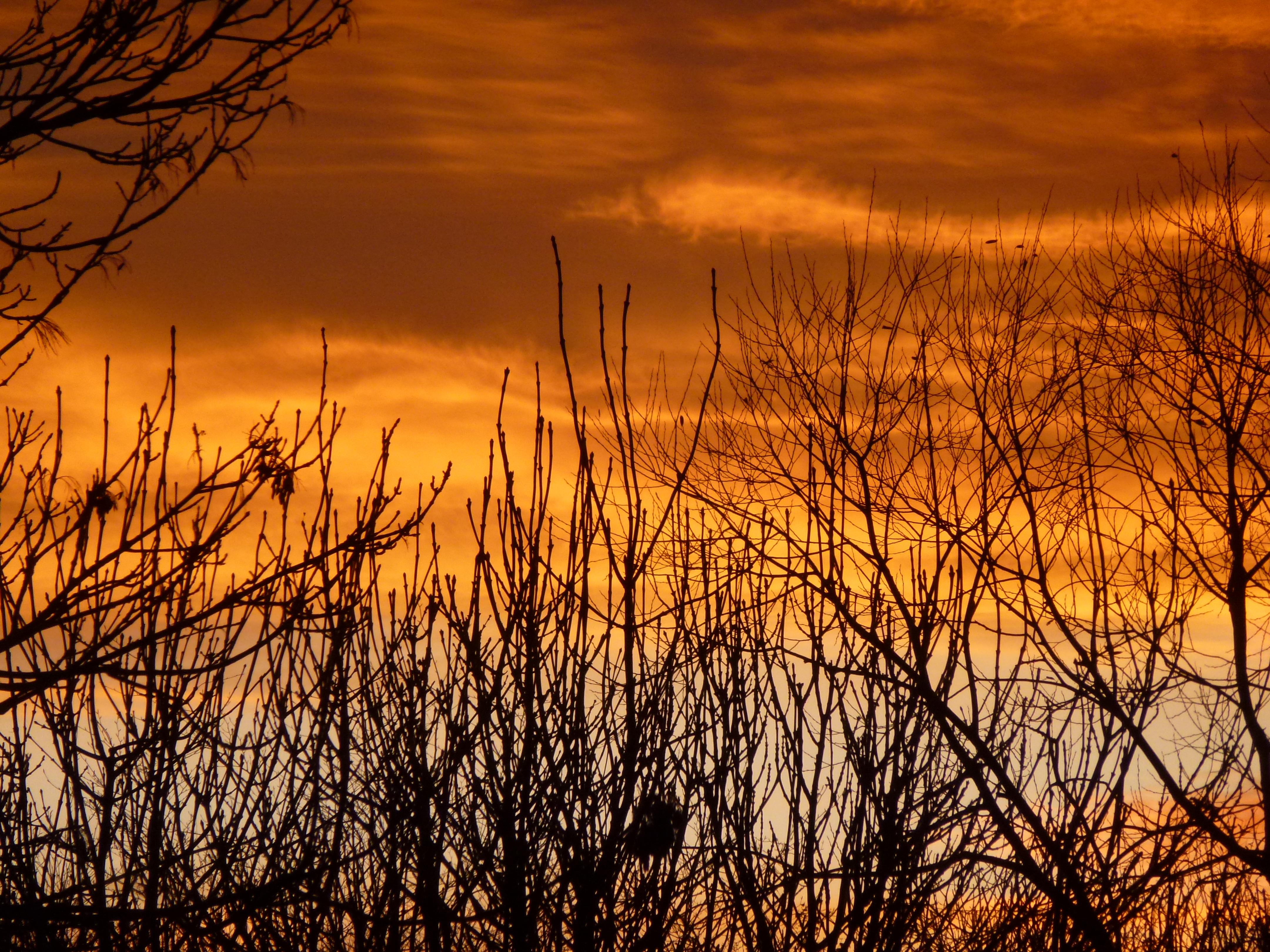 8 Dec Sunset From My House 023