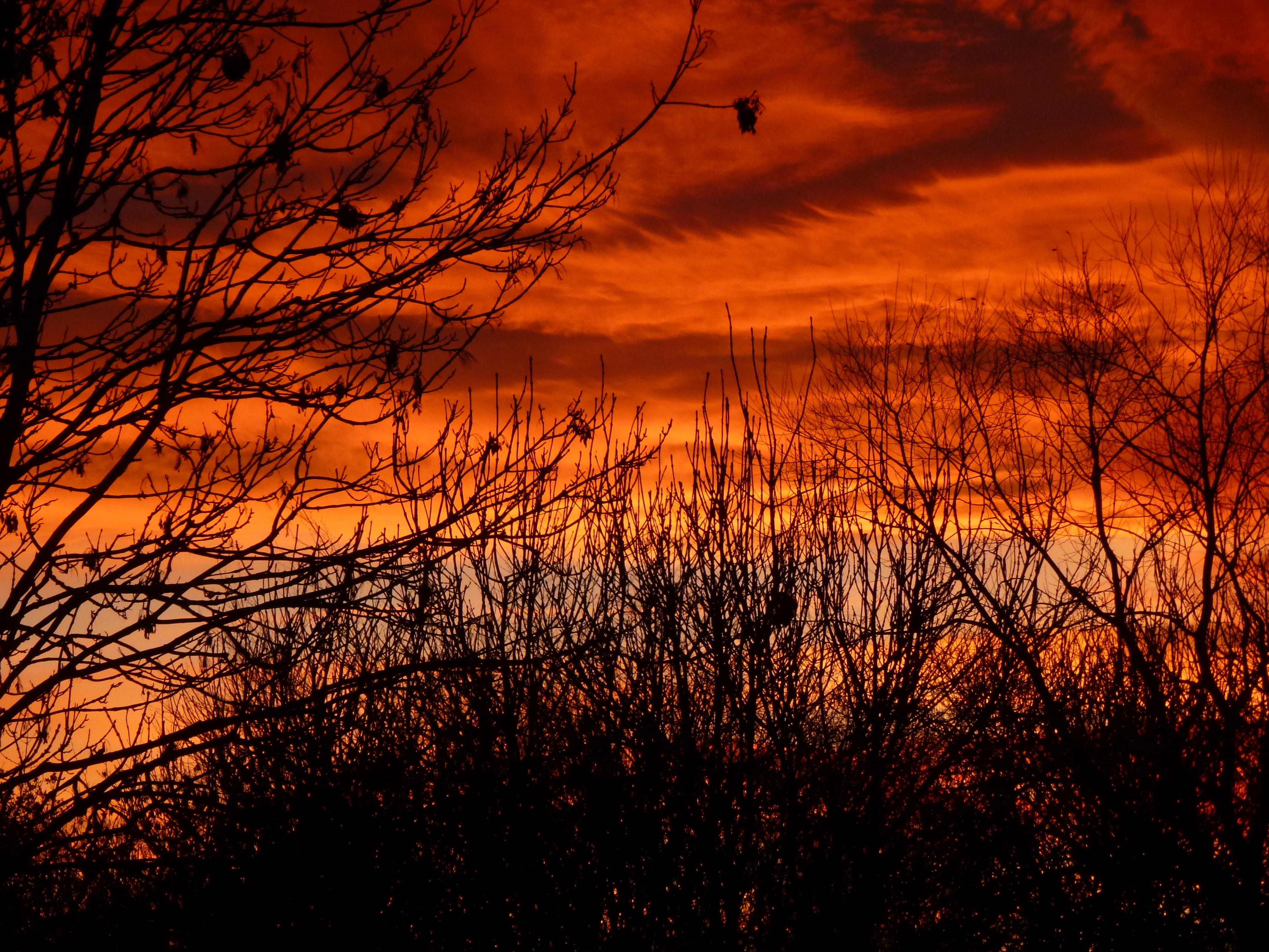 8 Dec Sunset From My House 039