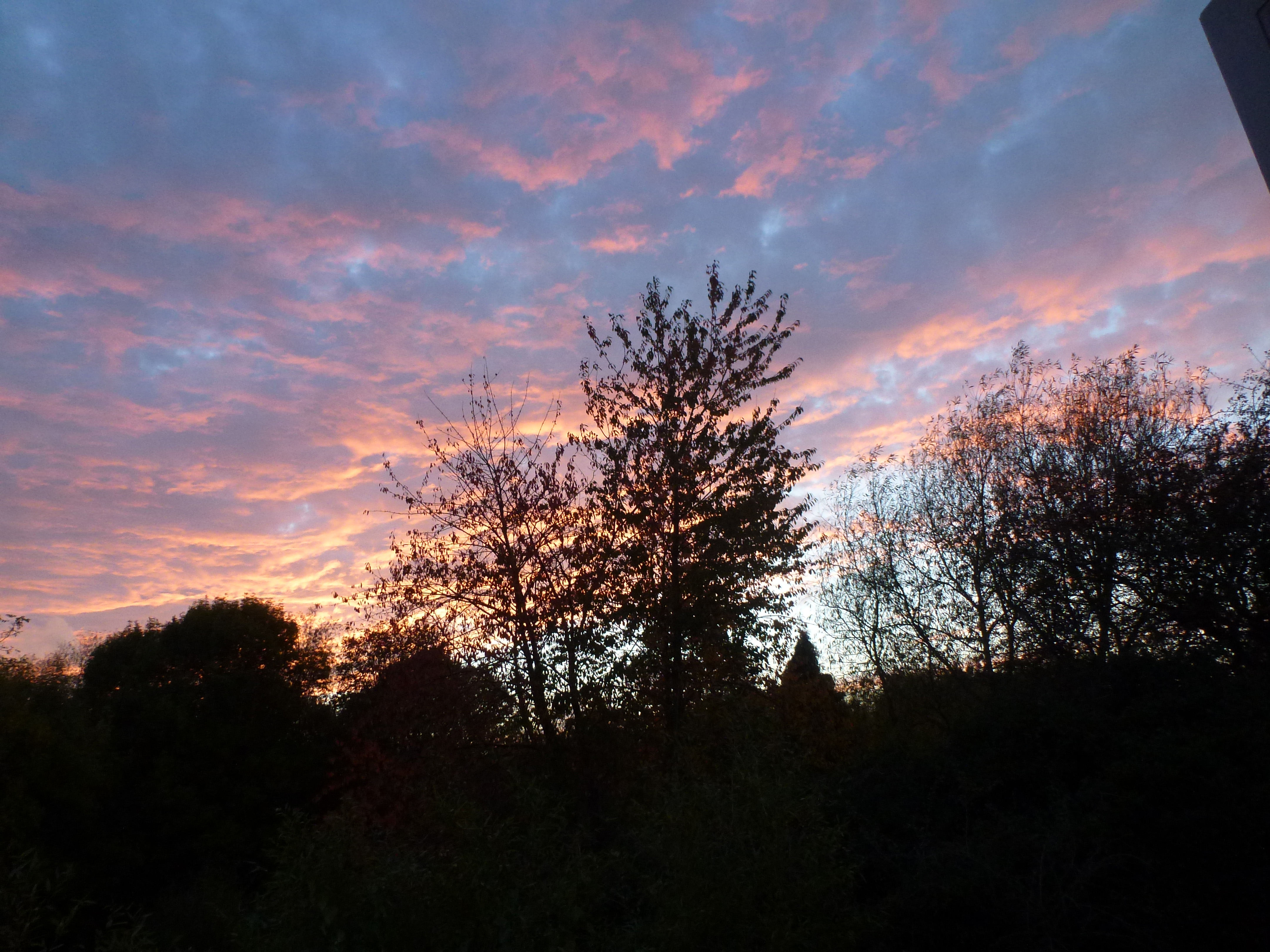 Saturday Evening from Bedroom Window 2