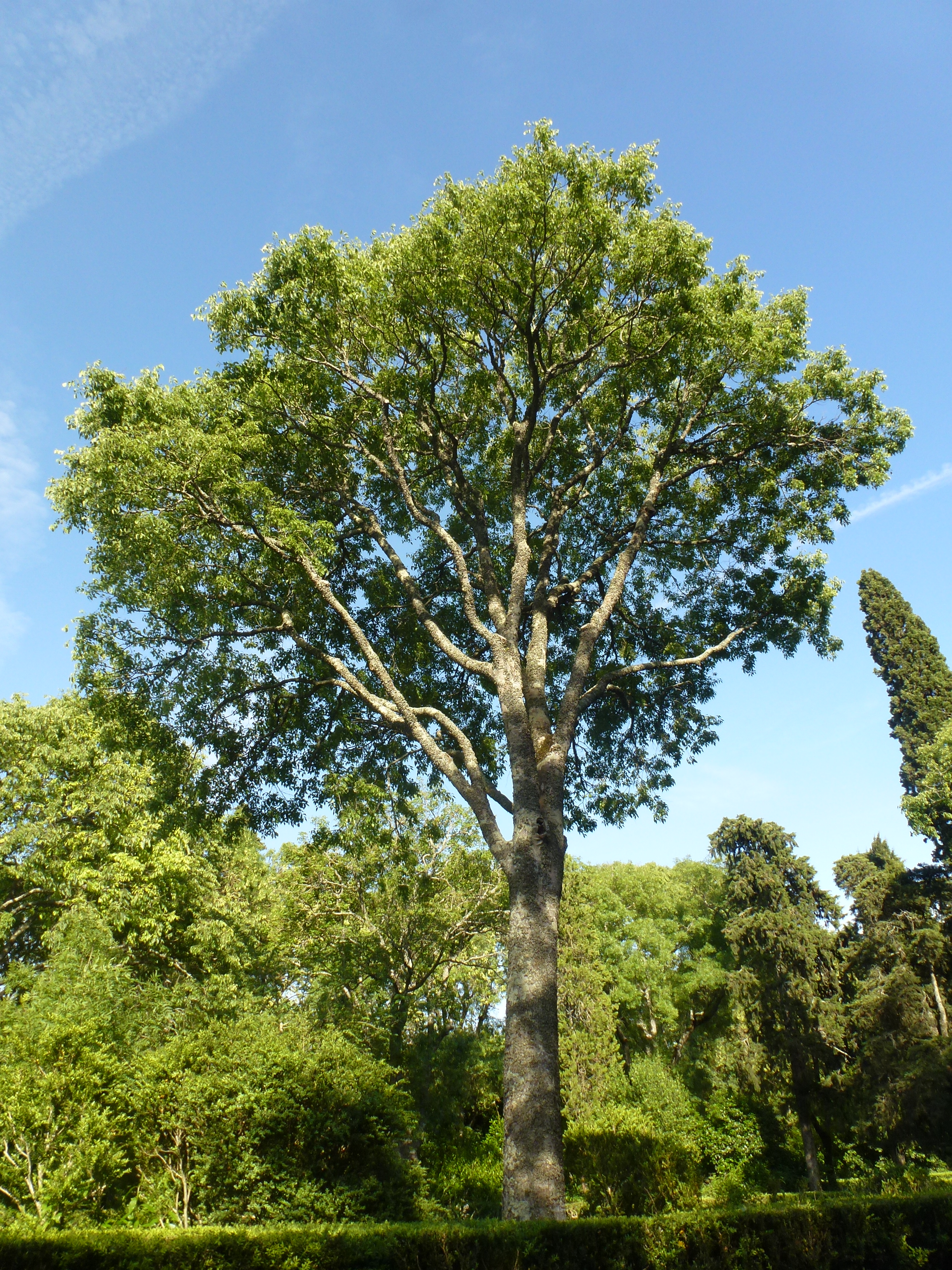 Palacio Nacional e Jardins de Queluz, Portugal 05