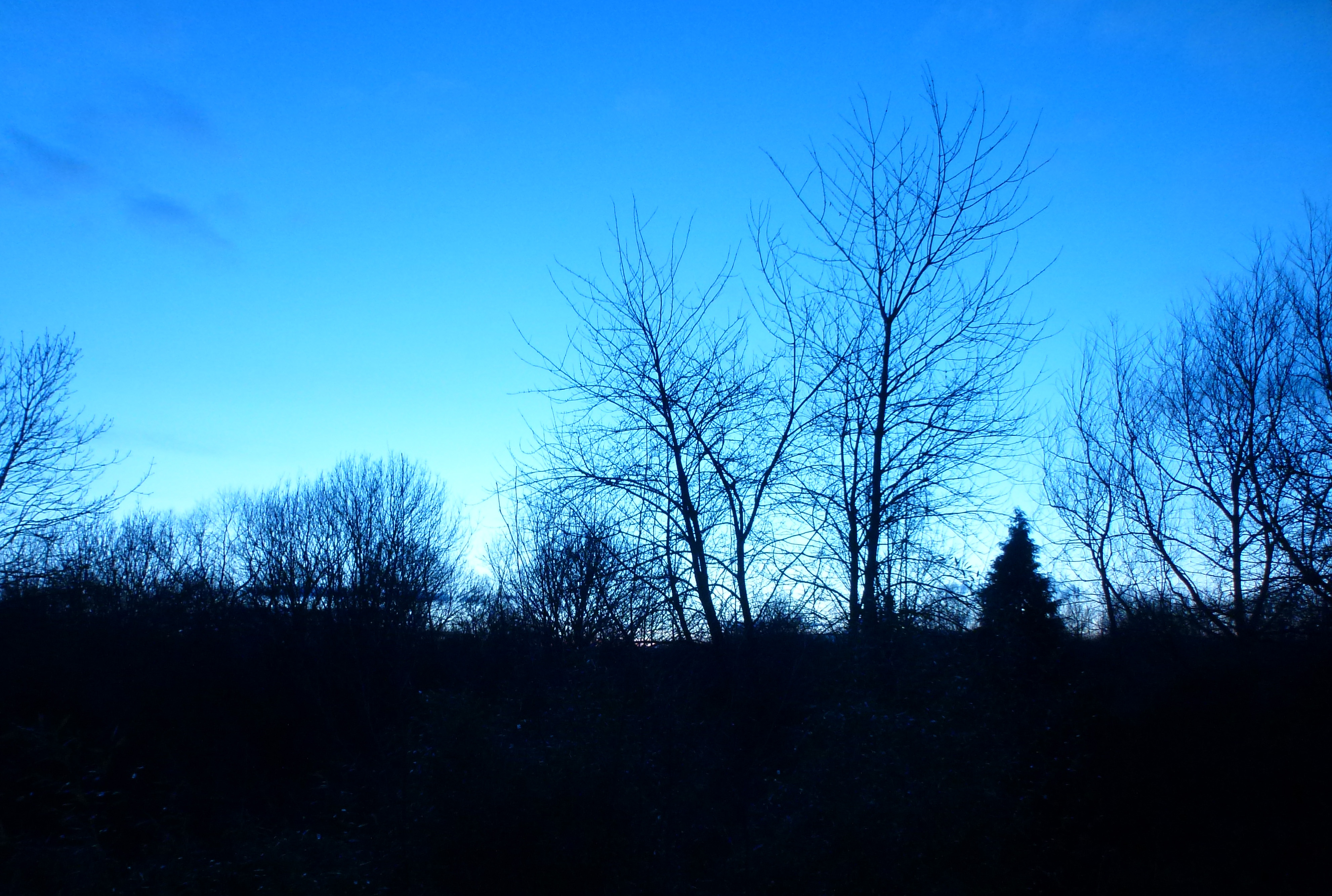 Dusk,Valentine's Day from Bedroom Window for Flori