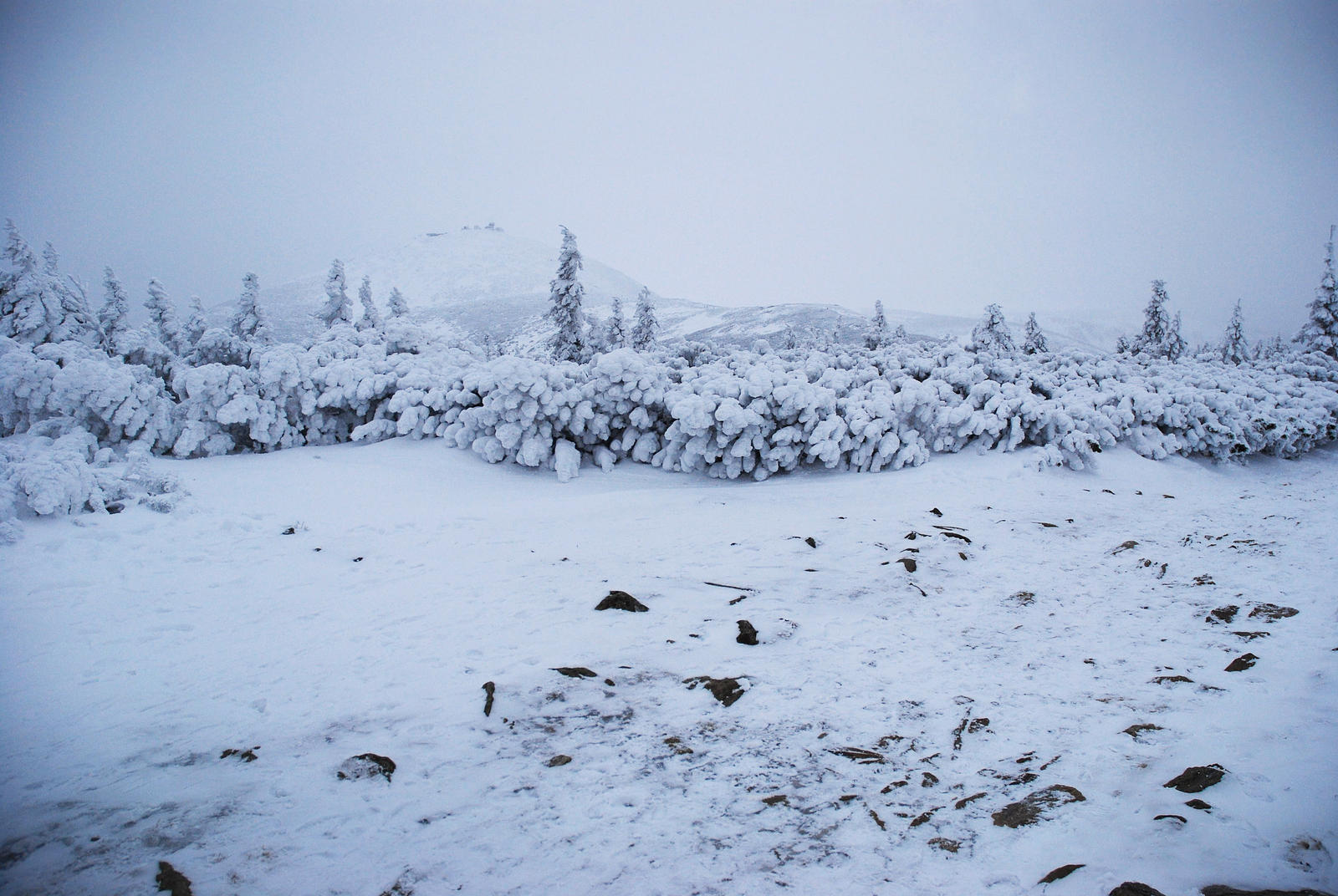 Frosty day on Snezka