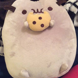 Cute pusheen cat