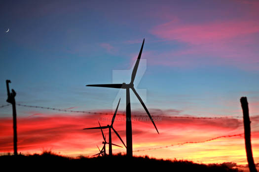 Windmill Silhouette