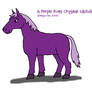 Purple Pony Sketch