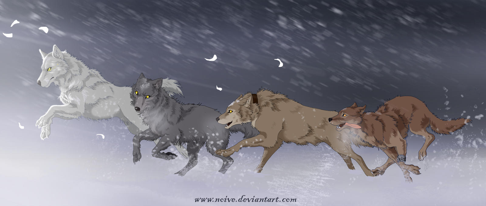Wolfs Rain by Noive on DeviantArt