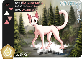 Sagespring | Warrior | Wiese