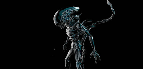 Xenomorph