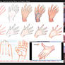 Drawing hands: male vs female