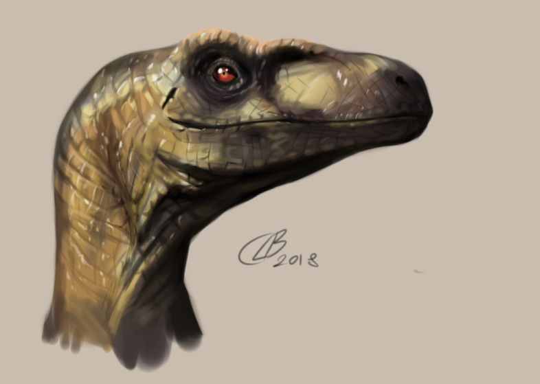 Mann Raptor JP study 6: Raptorman by CetaLB on DeviantArt