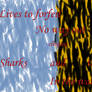 Tigers and Sharks 2