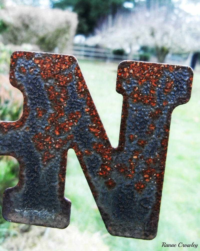 Rusty N by Ranae490 on DeviantArt