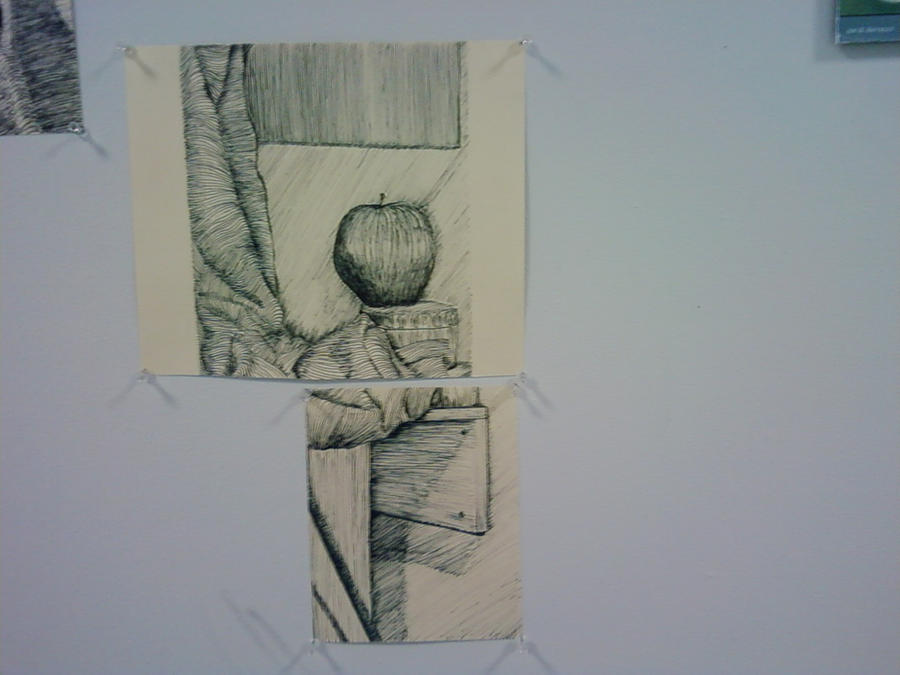 Contour Line Object Study contour lines study by sausagename on DeviantArt