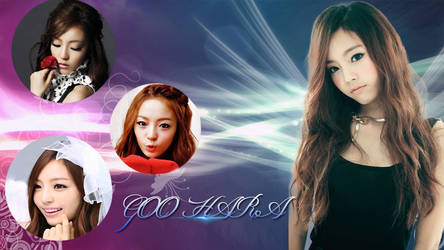 Goo Hara Background