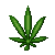 .Weed Avatar.