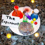 The Experiment