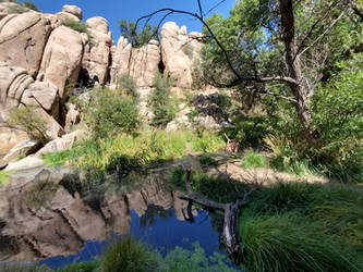 Stream at the other side of the dam (Watson Lake)