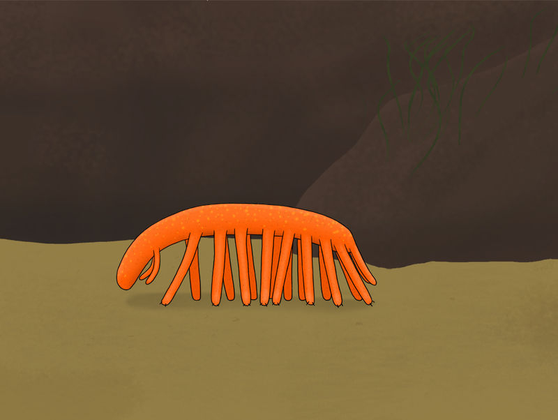 Carbotubulus Carbotubulus by Wieselfan on DeviantArt