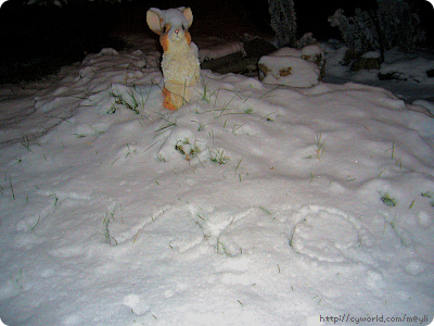 TVXQ in the snow