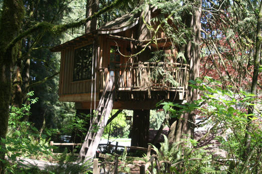 Upper Pond Tree House