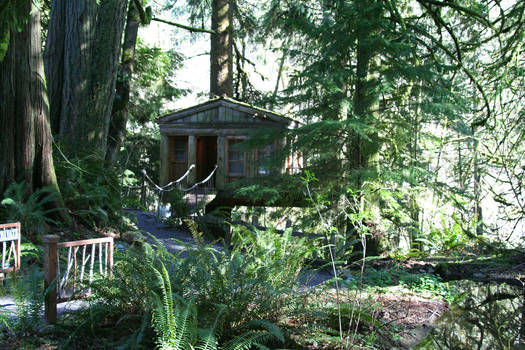 Tree Cabin