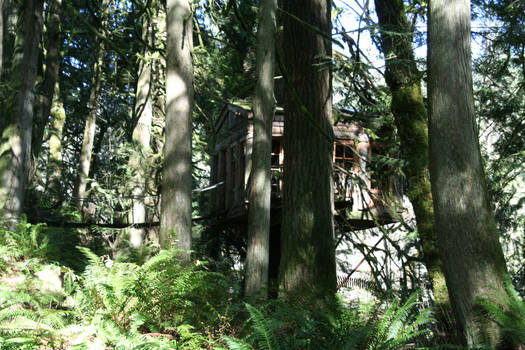 Tree Cabin 2