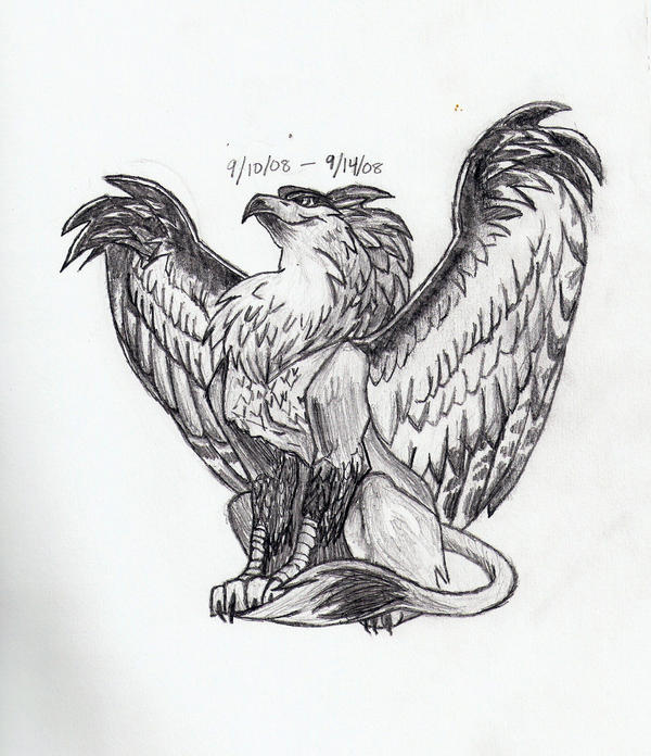 CJ's Pet Gryphon