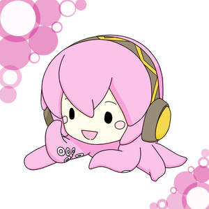 tako luka