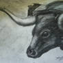 Oxen in Charcoal