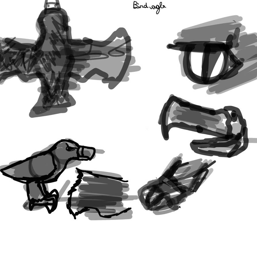 Birdagle by Hyper61771 on DeviantArt