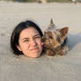 Yorkie Licks its Helpless Human