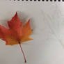 Autumn Leaf WIP