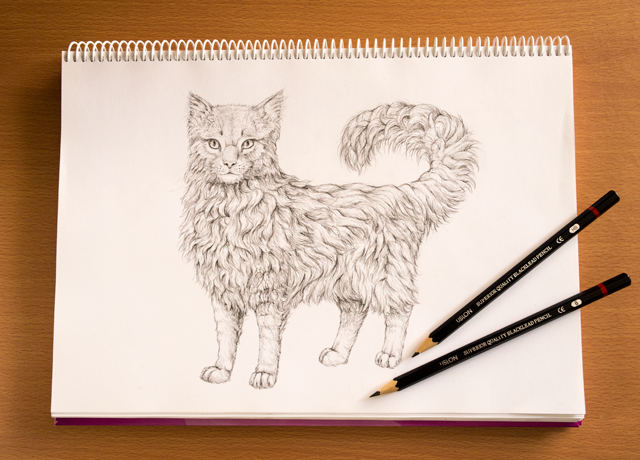 Drawing fur the easy way - tutorial