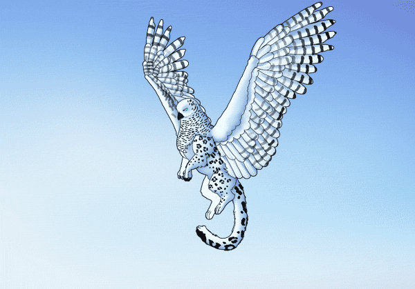 How to create a flight animation from scratch by MonikaZagrobelna on ...