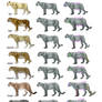 Big cats comparison: reference sheet