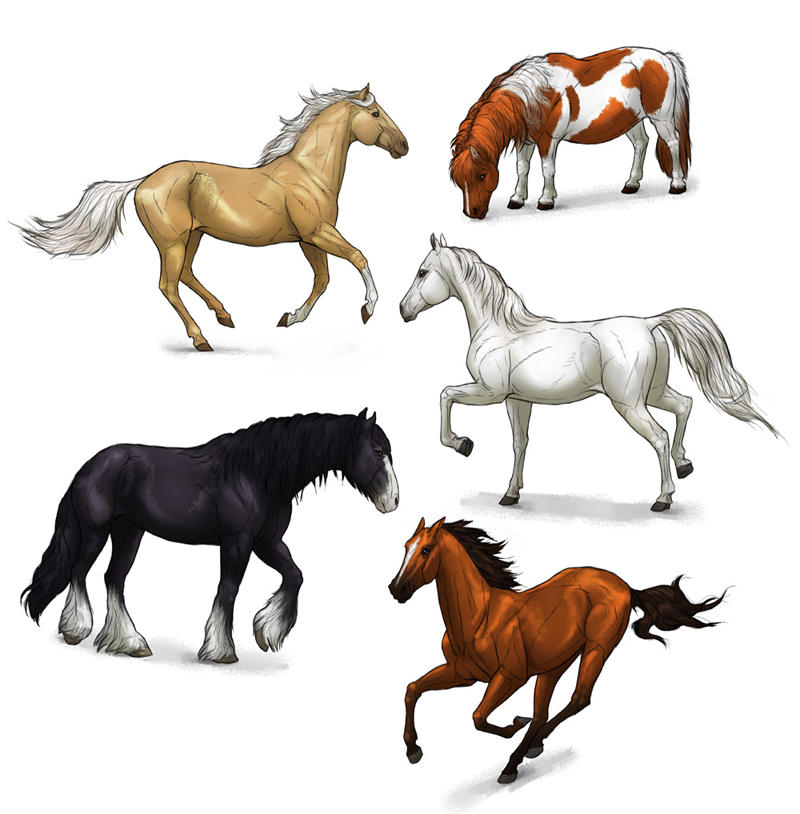 Лошадь картинки рисунки. Losad risunok. Лошадь рисунок. Рисование лошади. Рисуем лошадь.