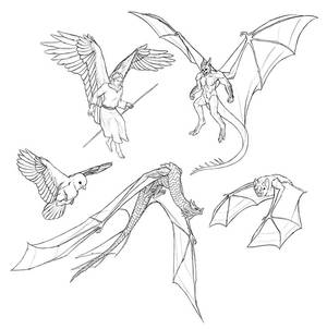 How to draw and animate wings
