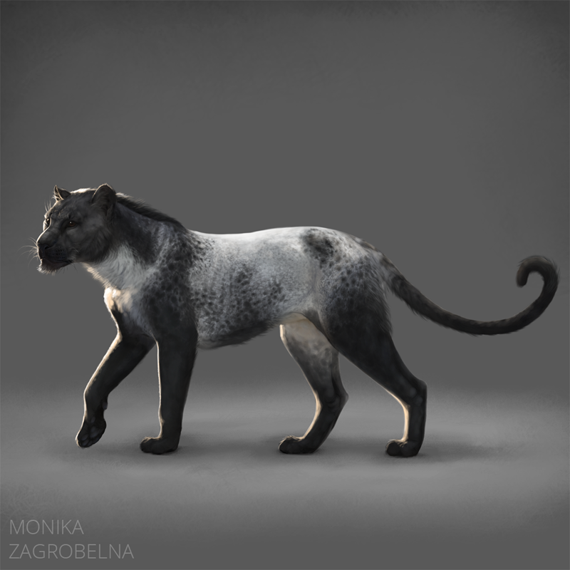 A blue roan cat by MonikaZagrobelna on DeviantArt