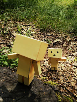 Homemade danbo