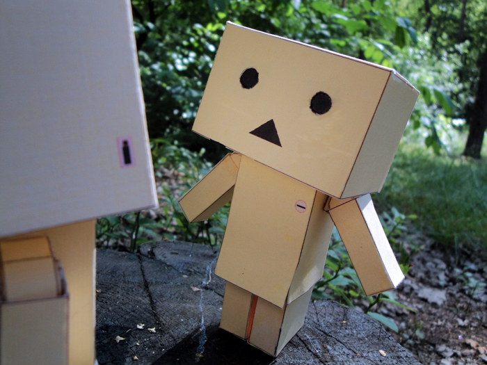 Homemade danbo