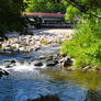 The river at the weir