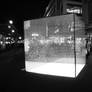 Glass cube in Mannheim