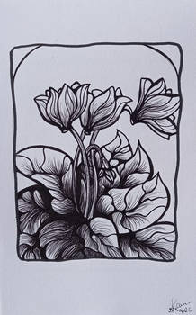 28SEP-CYCLAMEN