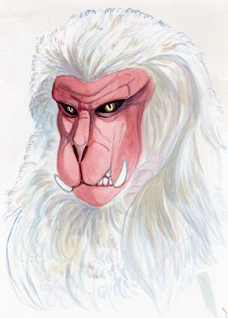 Rage Monkey Closeup by madama-moth on DeviantArt